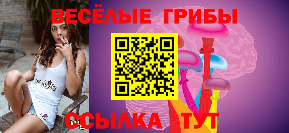 Псилоцибиновые грибы мухоморы Братск