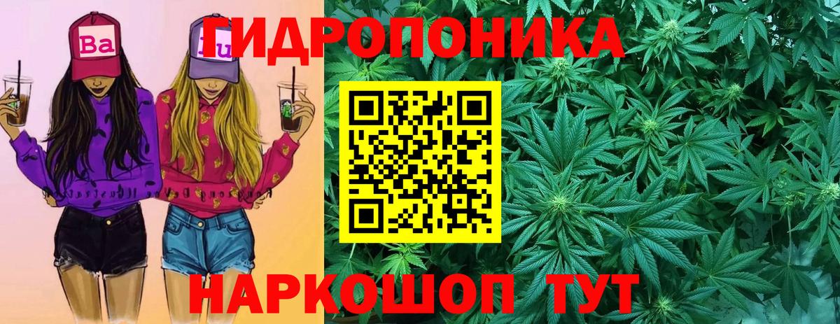 Бошки Шишки индика  Бошки марихуана AK-47  Вход с VPN  МАРИХУАНА Amnesia  Бошки Шишки Ganja  Братск 